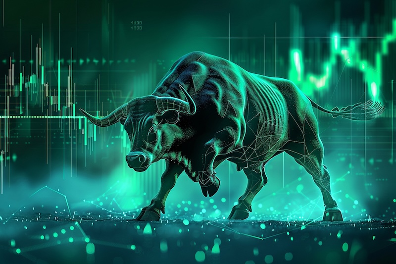 "Market Trends to Watch in 2025: Bullish Signals Emerge Amid Volatility"